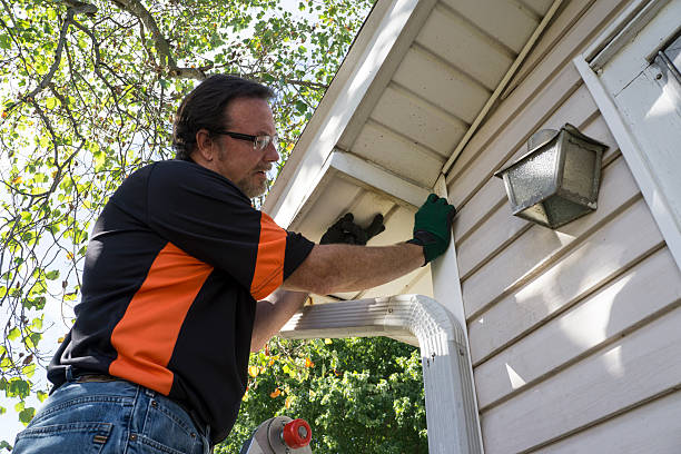 Best Stone Veneer Siding  in St Lawrence, PA